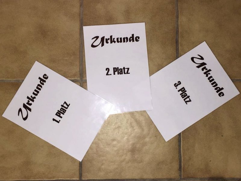 Interner Vergleichswettkampf 2018