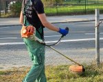 Aufräumaktion Schützenwiese